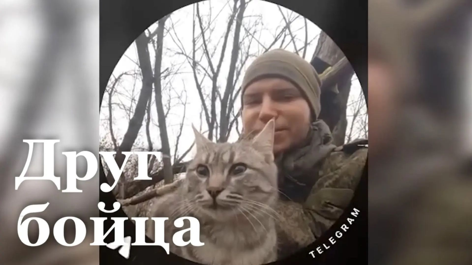 Матери погибшего военного с передовой привезли, его кота/ События недели