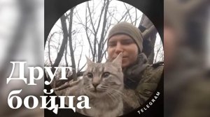 Матери погибшего военного с передовой привезли, его кота/ События недели