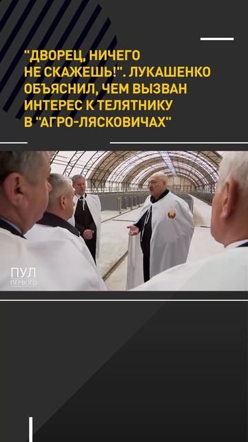 "Дворец, ничего не скажешь!" Лукашенко объяснил, чем вызван интерес к телятнику