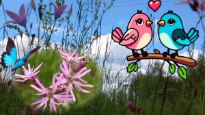 Цветут луга поют птицы - поэтому  июнь-моё любимое  время года .