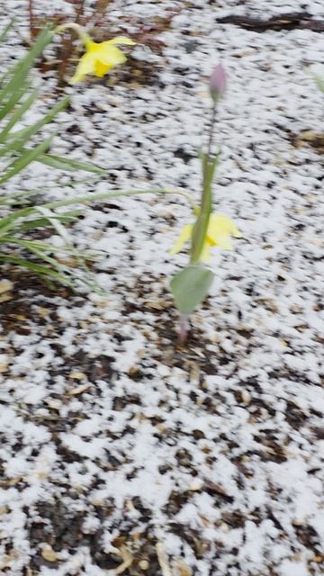 Прекрасное рядом