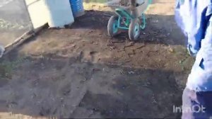 Влог работаем в огороде 2 часть 24 апреля 2026