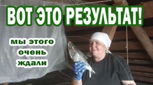 64. ЖИЗНЬ В ДЕРЕВНЕ. РЕМОНТ, ОГОРОД И МОМЕНТ КОТОРОГО ЖДАЛИ