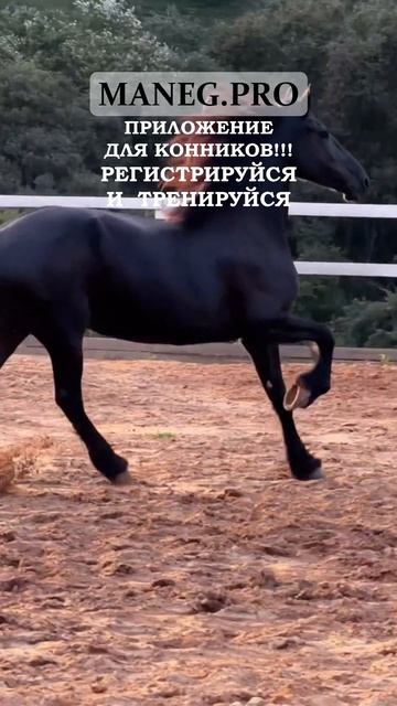 Регистрируйся и тренируйся в МАНЕЖ.ПРО