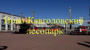 Ново-Кавголовский лесопарк