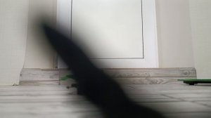 Черепашки ниндзя пластилновая анимация 1 сезон 21 серия Месть Карай