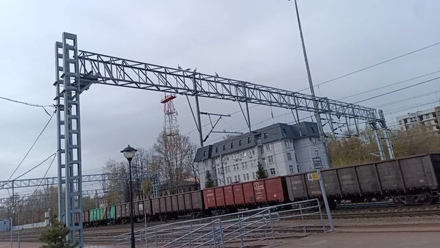 Чайки угорают над тем, как я везу холодильник