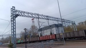 Чайки угорают над тем, как я везу холодильник