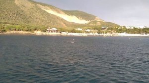 Красиво подпрыгивает стая дельфинов в Большом Утрише, как на заказ.