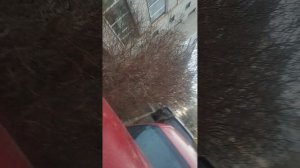 1000001159.mp4