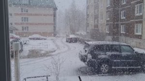 Зима вернулась в Ленинградскую область 26.04.26г.❄️❄️❄️