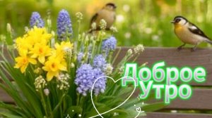 Доброе утро: открытки и пожелания | Домохозяйка