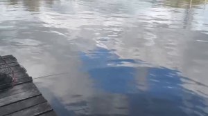 26.04.26 г. РК Волна.