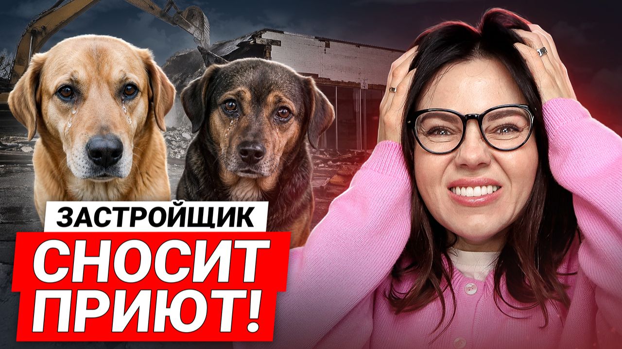 С 1 ИЮЛЯ ВСЁ МЕНЯЕТСЯ: Ставка падает, Новые условия семейной ипотеки / Застройщик переносит приют