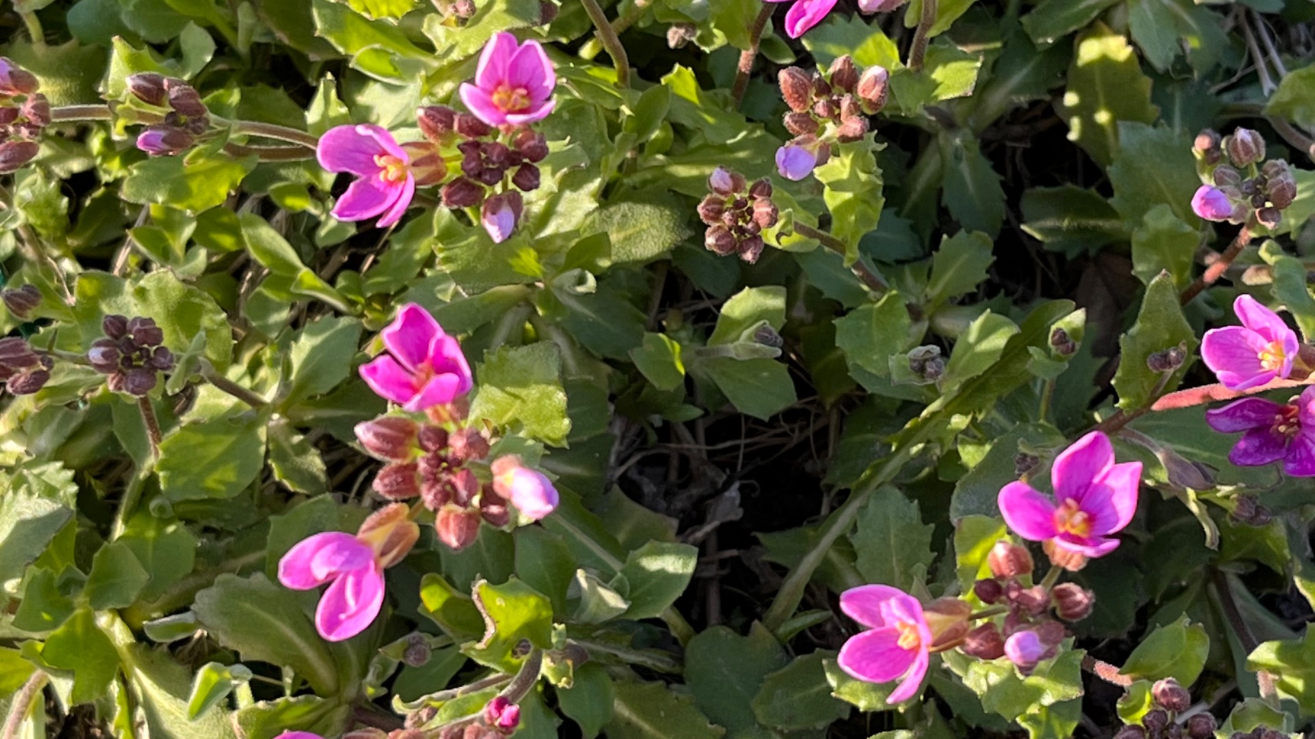 25 Апреля! Второй сезон с этого начинаю!