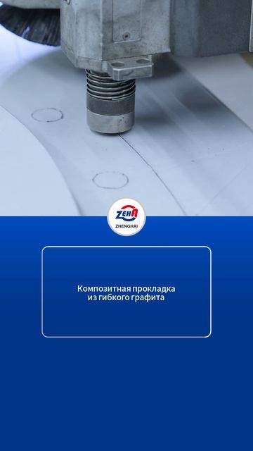 Армированная композитная прокладка из гибкого графит-ZHENGHAI SEAL-1