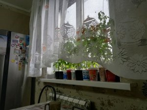 сгщаншаншас