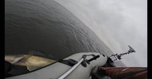 Трофейная рыбалка в Карелии 2025. Огромные щуки и судаки.