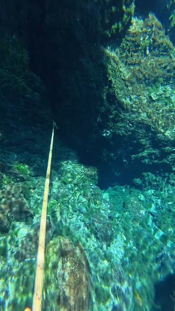 Портал в другой мир