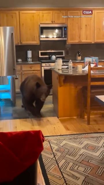 Video_2026-03-09_13-30-15