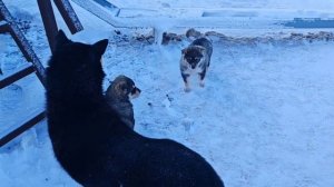 29.03.2026 г. Знакомство.