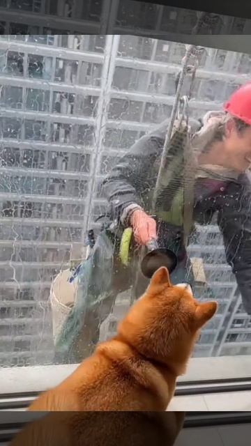 Video_2026-03-09_13-29-19