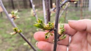 Моя жизнь в Деревне😍 Огородный сезон Открыт 😁🥳 Сколько можно ждать.