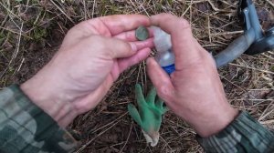 На поиски монет и металла