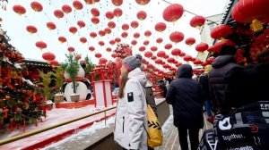 Растём вместе с Нильсом 9 лет 7 часть