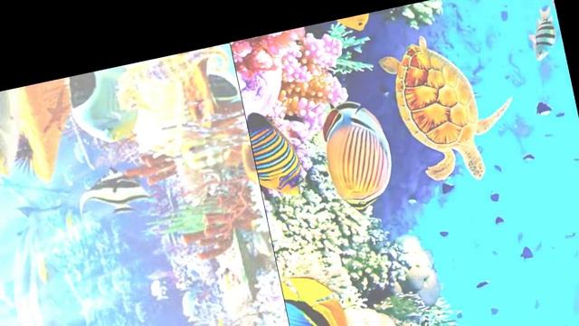 Подводный мир🌀🌀🌀🩵