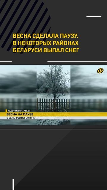 В некоторых районах Беларуси выпал снег