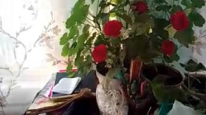 Привет всем ! Подпишитесь!