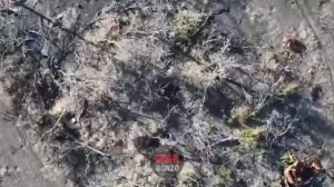 Прямое наведение: поражение опорников и бронетехники ВСУ силами дронов 4-й базы