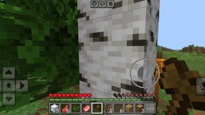 Выживание в майнкрафт ( простите)