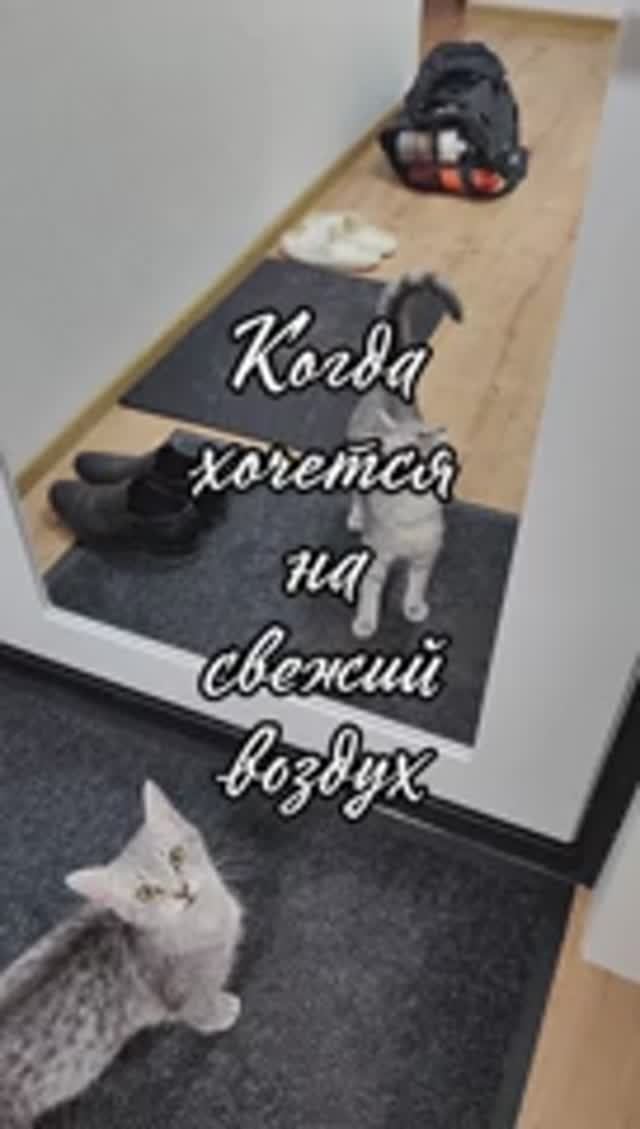 Сергей и Алиса | История двух сердец | Мисти | Когда хочется на свежий воздух