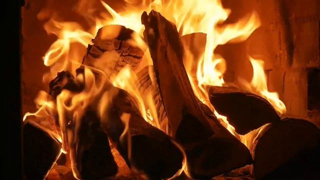 По строй свою жизнь