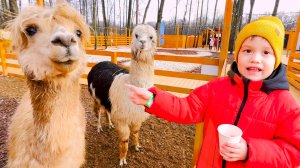 Животные для детей Учим названия животных Развивающее видео для детей