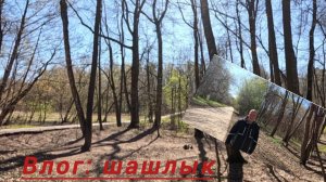 Влог: шашлык. Хотели пожарить шашлык в лесу а получилось.... 🤔