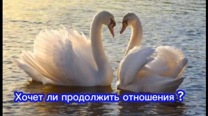 ТАРО ОТНОШЕНИЯ 🤔🤫 Хочет ли он продолжить отношения ? 🤔🤫