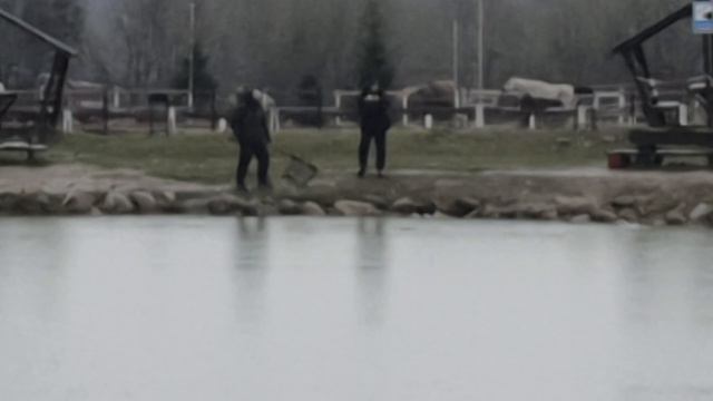 поимка форели на фидер