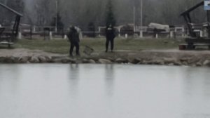 поимка форели на фидер