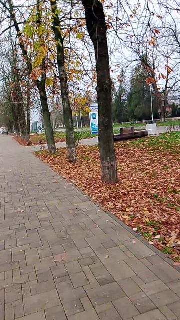 Парк в станице Брюховецкой