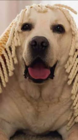 Истории из жизни | Аудио рассказы | Аудиокниги слушать онлайн | Жизненные истории