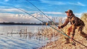 ДОНКИ ПОДЛЕТАЮТ! ОСТАВИЛ БЕЗ ПРИСМОТРА.Рыбалка на сазана и карася на донки с берега.