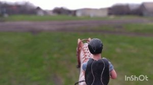 небольшая прогулка глазами лошади 🐴
Ванилька❤❤❤