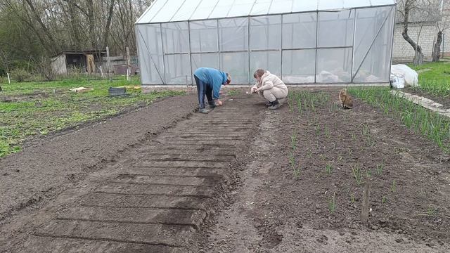 Сажаем огород и наводим порядки. Хотя ещё холодно, но решили, что пора заняться посадками.