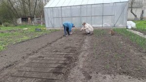 Сажаем огород и наводим порядки. Хотя ещё холодно, но решили, что пора заняться посадками.