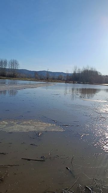 доброе утро