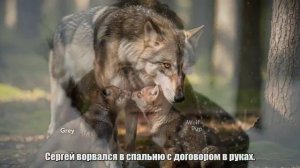 ТАЙГА. Он заблудился в лесу и ЗАМЕРЗАЛ НО ЕГО нашел волк И это  стало началом СТРАШНОГО долга.