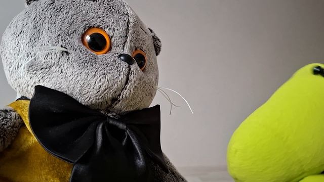 КОТ БАСИК. Знакомство с новыми жителями.